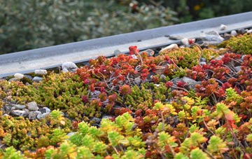 the cost of Digby green roof installation