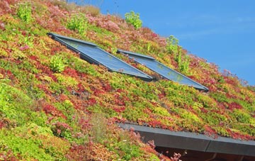 Digby living roof systems