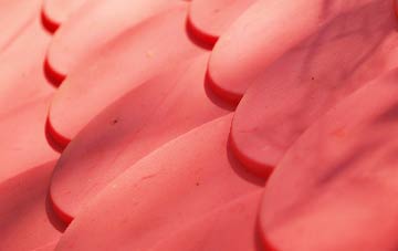 Digby plastic roof costs