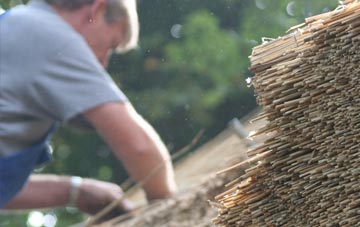 professional Digby thatchers