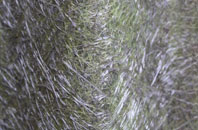 Digby fibreglass roof work